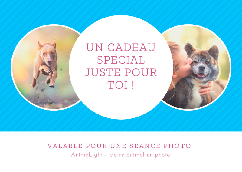 AnimaLight - Votre animal en photo